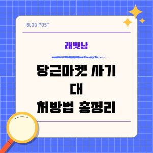 당근마켓 사기 대처방법