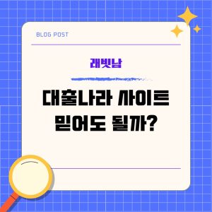 대출나라 사이트